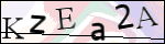 Human Confirmation Code (Captcha)
