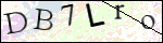 Human Confirmation Code (Captcha)