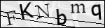 Human Confirmation Code (Captcha)