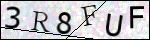 Human Confirmation Code (Captcha)
