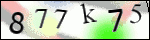 Human Confirmation Code (Captcha)