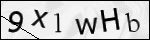 Human Confirmation Code (Captcha)