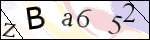 Human Confirmation Code (Captcha)