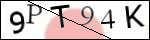 Human Confirmation Code (Captcha)