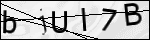 Human Confirmation Code (Captcha)