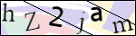 Human Confirmation Code (Captcha)