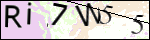 Human Confirmation Code (Captcha)