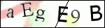 Human Confirmation Code (Captcha)