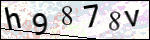 Human Confirmation Code (Captcha)