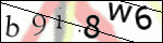 Human Confirmation Code (Captcha)