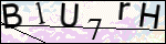 Human Confirmation Code (Captcha)