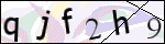Human Confirmation Code (Captcha)