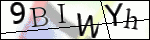 Human Confirmation Code (Captcha)