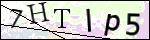 Human Confirmation Code (Captcha)