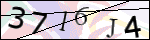 Human Confirmation Code (Captcha)