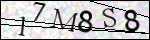 Human Confirmation Code (Captcha)