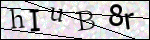 Human Confirmation Code (Captcha)