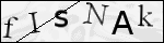Human Confirmation Code (Captcha)