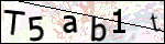 Human Confirmation Code (Captcha)