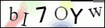 Human Confirmation Code (Captcha)