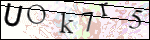 Human Confirmation Code (Captcha)