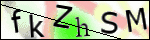 Human Confirmation Code (Captcha)