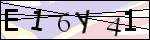Human Confirmation Code (Captcha)