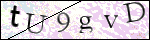Human Confirmation Code (Captcha)