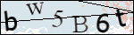 Human Confirmation Code (Captcha)