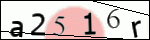 Human Confirmation Code (Captcha)