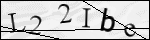 Human Confirmation Code (Captcha)