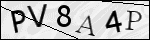 Human Confirmation Code (Captcha)