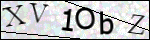 Human Confirmation Code (Captcha)