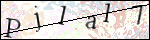 Human Confirmation Code (Captcha)