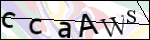 Human Confirmation Code (Captcha)