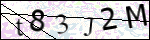 Human Confirmation Code (Captcha)