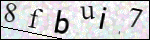 Human Confirmation Code (Captcha)