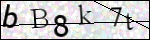 Human Confirmation Code (Captcha)