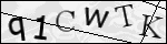 Human Confirmation Code (Captcha)