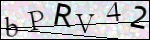 Human Confirmation Code (Captcha)