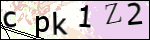 Human Confirmation Code (Captcha)