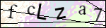 Human Confirmation Code (Captcha)
