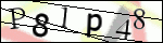 Human Confirmation Code (Captcha)