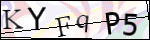 Human Confirmation Code (Captcha)