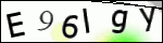 Human Confirmation Code (Captcha)