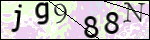 Human Confirmation Code (Captcha)
