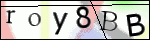 Human Confirmation Code (Captcha)