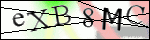 Human Confirmation Code (Captcha)
