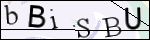 Human Confirmation Code (Captcha)