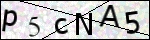 Human Confirmation Code (Captcha)